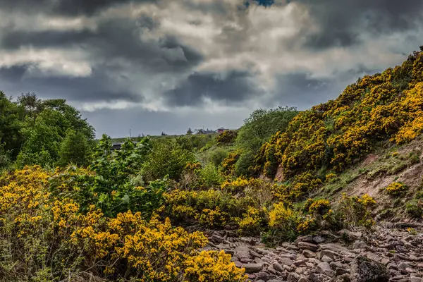 Arroyo seco bajo cielos oscuros amenazantes en Dunbeath, Escocia . — Foto de Stock