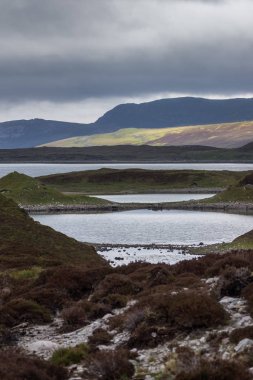 Kuzey İskoçya'da düzensiz şekilli Loch Eriboll.