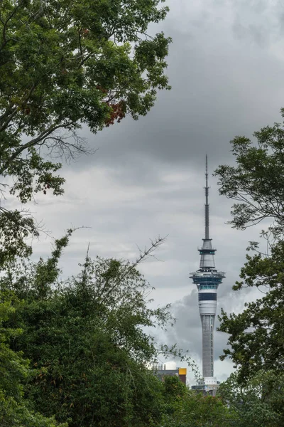Sky Tower desde Domain Park, Auckland . — Foto de Stock