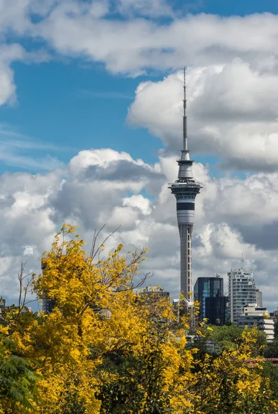 Sky Tower vista desde Parnell Road en Auckland . — Foto de Stock