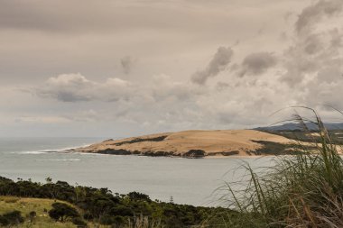 Kumul çıkış Hokianga Harbour, Yeni Zelanda.