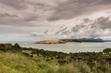 Kumul girişinde Hokianga Harbour, Yeni Zelanda.