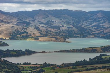 Turkuaz Akaroa dağlı, Yeni Zelanda görülen ses.