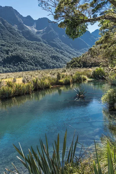 Lustro jeziora w Fiordland National Park, Nowa Zelandia. — Zdjęcie stockowe