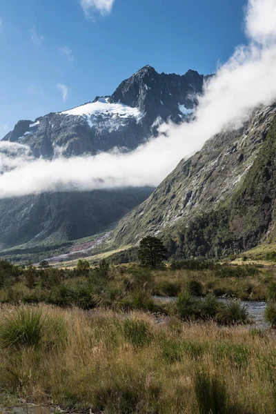 Μαϊμού Creek στην Fiordland εθνικό πάρκο, Νέα Ζηλανδία. — Φωτογραφία Αρχείου
