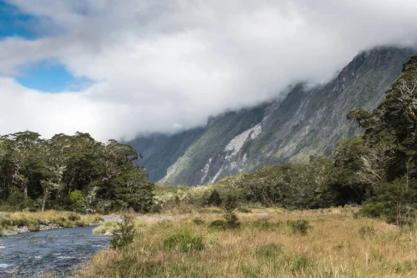 Monkey Creek landschap in het Nationaal Park Fiordland, Nieuw-Zeeland. — Stockfoto