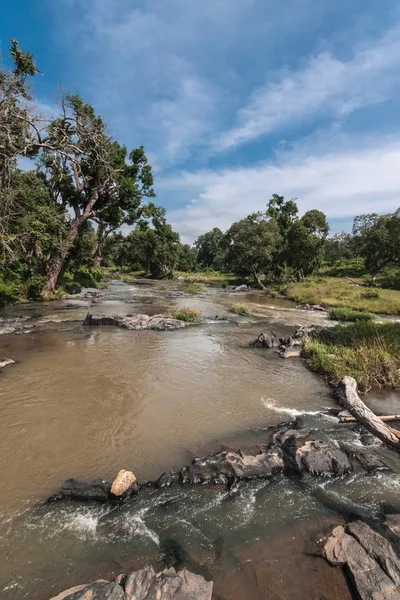 Closeup of Moyar River, Tamil Nadu, India.