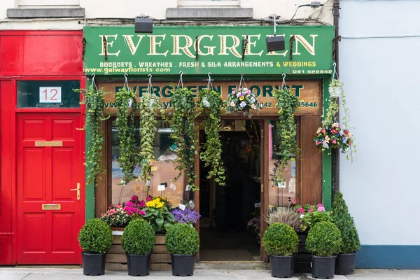 Magasin de fleurs pour petites entreprises à Galway, Irlande . — Photo