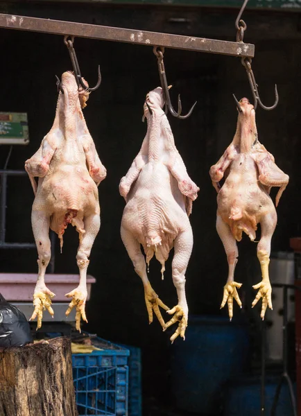 Голые цыплята на крючке, деревня Баннур, Индия . — стоковое фото