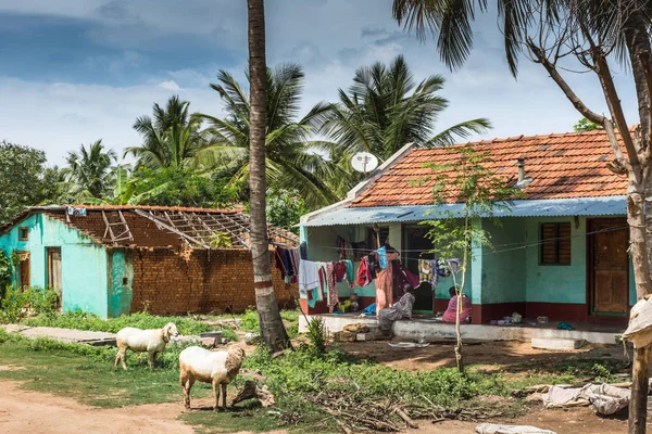 Small farm with people and animals in Somanathpur, India. — Stock Photo, Image