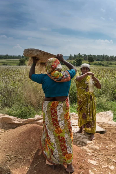 Kvinnor på bovete fältet sift i Mellahalli, Indien. — Stockfoto