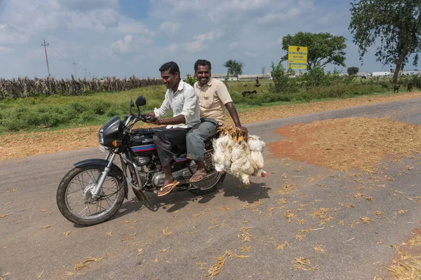 Два человека на мотоцикле перевозят кур, Меллахалли Индия . — стоковое фото