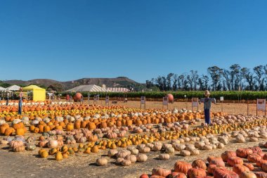Hasat Festivali alanıyla kabaklar ve korkulukları, Moorpark BM