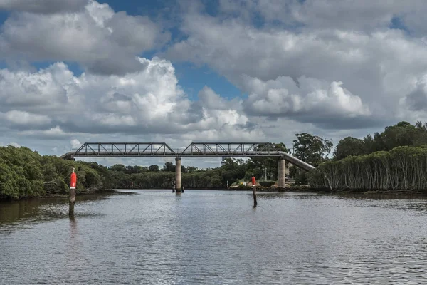 帕拉马塔河上的管道桥, 澳大利亚茶花. — 图库照片