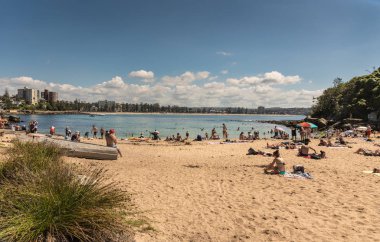 Shelly Beach erkekçe Tasman Denizi, Sydney Australia.
