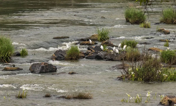 Wildwasser über Felsen im Kaaveri River, Indien. — Stockfoto