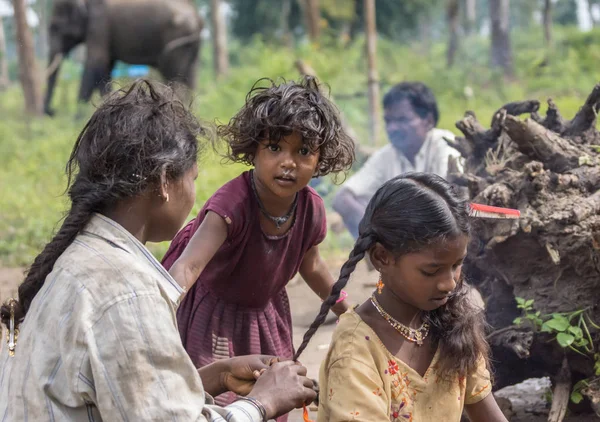 Rodzina scena Dubare Elephant Camp, Coorg Indie. — Zdjęcie stockowe