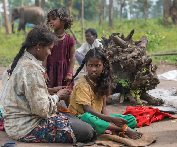 Family scene at Dubare Elephant Camp, Coorg India. — Stock Photo, Image