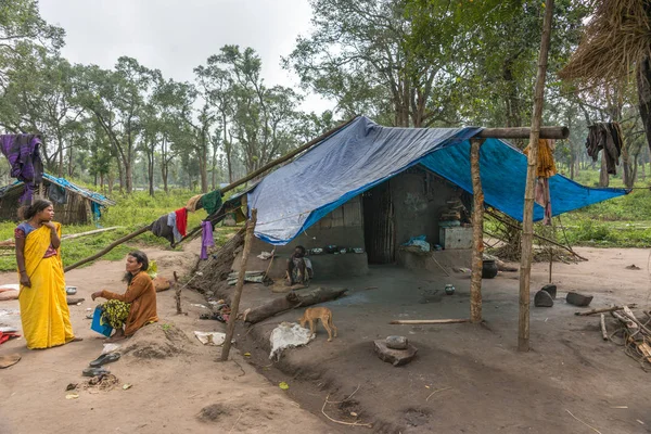 Betina dan gubuk mereka di Dubare Elephant Camp, Coorg India . — Stok Foto