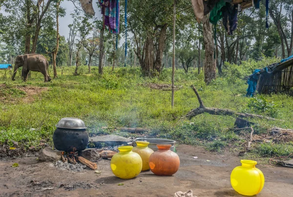 Open fire with water jugs at Dubare Elephant Camp, Coorg. — Stock Photo, Image