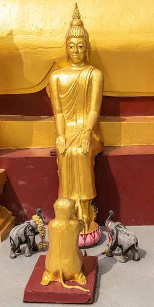 科省Wat Phra Yai的猴子和大象与菩萨雕像 — 图库照片