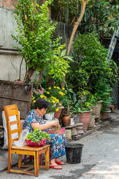 Woman cleans lettuce and herbs in street in Da Nang Vietnam. — ストック写真