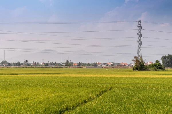 Υψηλής τάσης πυλώνας στο ρύζι paddy σε Nha Trang, Βιετνάμ. — Φωτογραφία Αρχείου