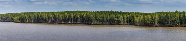 Panorama shot of delta jungle along Long Tau River, Thieng Lieng — Stock Photo, Image