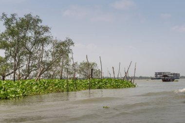 Mekong Nehri Tan Phong, Mekong Delta, Vietnam 'dan görüldü..