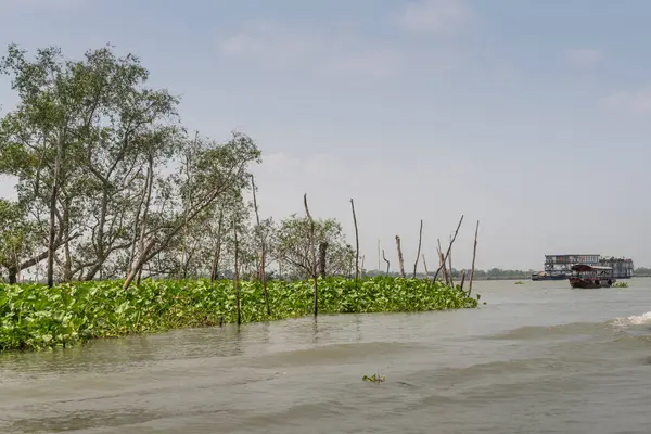Río Mekong visto desde Tan Phong, Delta del Mekong, Vietnam . — Foto de Stock