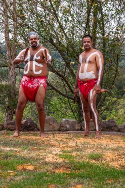 2 Aborjin adam Newcastle, Aust 'ta geleneksel silahlarını gösteriyor.