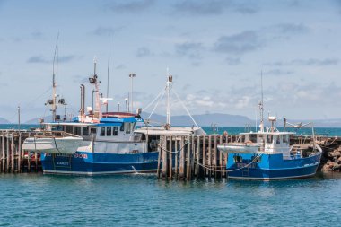 Stanley, Tazmanya, Avustralya limanında iki balıkçı teknesi.