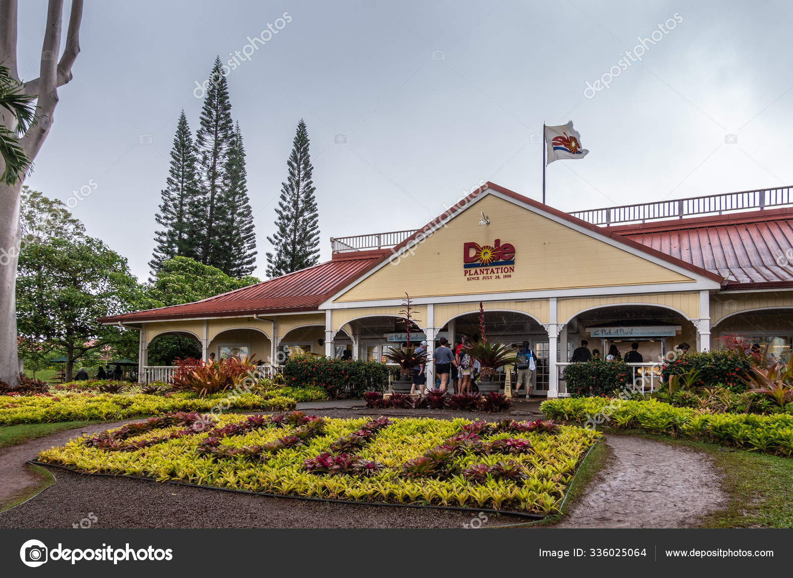 Dole pineapple plantation in Wahiawa, Oahu, Hawaii, USA. Stock Editorial Photo © Klodien