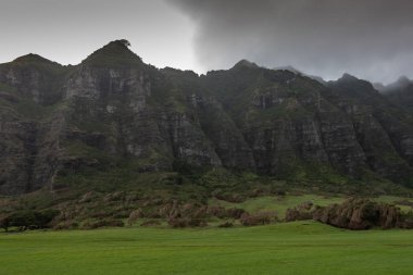 Yüksek kayalık uçurumlar Kualoa Vadisi 'nin yeşil çayırı, Oahu, H