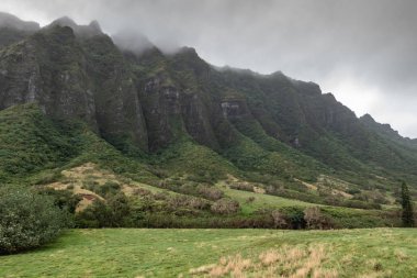 Forested flanks to high cliffs bordering Kualoa valley , Oahu, H clipart