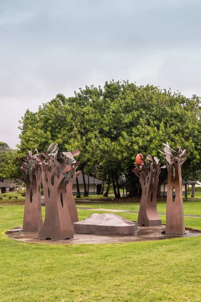 Προσωπογραφία του αγάλματος δέντρων στο Πανεπιστήμιο της Χαβάης στο Kahului, Maui — Φωτογραφία Αρχείου