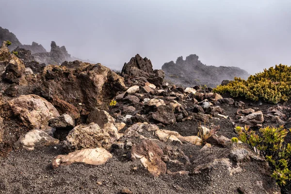 Rocas marrones y vegetación al borde del cráter del Volcán Haleakala —  Fotos de Stock