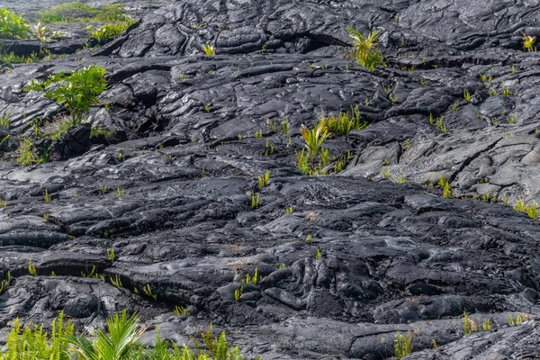 Primer plano de las olas de 1990 endurecido lava, Kaimu, Hawai, EE.UU. . — Foto de Stock