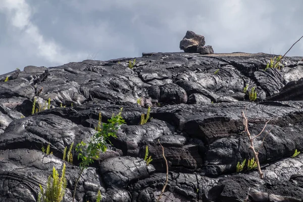 Fw rocks on top of 1990 lava harbeh, Kaimu, Hawaii, USA . — стоковое фото