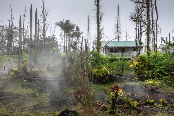 Los gases y vapores escapan de las grietas en el jardín y el bosque, Leilan — Foto de Stock