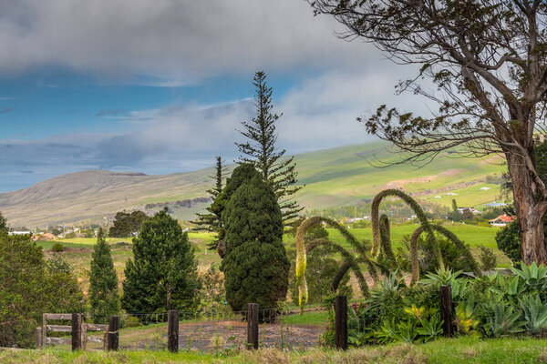 View over hills on Parker Ranch headquarter domain, Waimea, Hawa