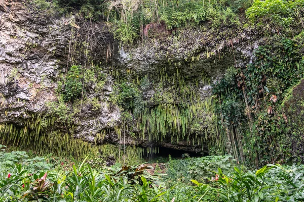 Gruta del Helecho en el fondo del acantilado cerca de Kamokila Village, Kauai, Haw — Foto de Stock