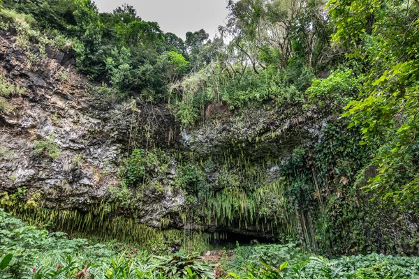 Fern Grotto széles sziklafal közelében Kamokila Village, Kauai, Hawaii, — Stock Fotó