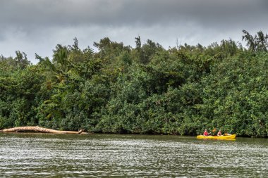 Nawiliwili, Kauai, Hawaii yakınlarındaki South Fork Wailua Nehri 'nde bir kano.,