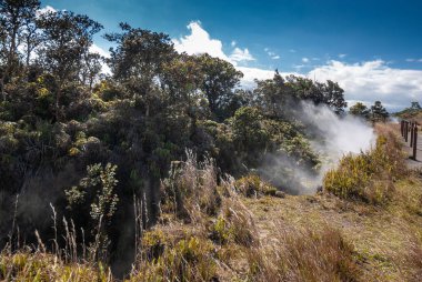 Kilaeuea vo 'daki yol boyunca yarıklardan buhar ve gazlar çıkıyor.