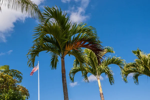 Us Flag at United by Sacrifice at Schofield Barracks, Oahu, Hawa — стокове фото