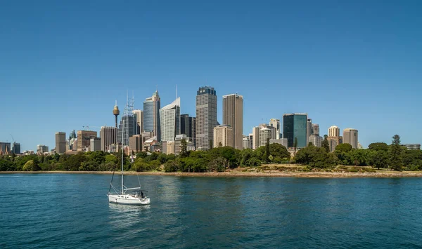 澳大利亚悉尼 2009年12月11日 广阔的天空 在绿色植物园公园后面有多个办公大楼 唯一的白色游艇在浅蓝色的天空下 深蓝色海湾水域 — 图库照片