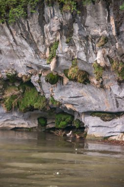 Guilin, China - May 10, 2010: Along Li River. Green foliage covers partly opening to cave in white-gray cliff on level with greenish water. Duck present under overhanging rock.