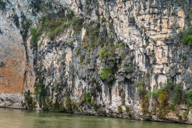 Guilin, Çin - 10 Mayıs 2010: Li Nehri boyunca. Karst Dağı 'ndaki uçurumun gri-kahverengi-siyah duvarı dikey olarak yeşil sularda. Asılı yeşil bitki örtüsü ve kaya yaprakları.