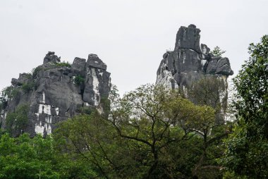 Guilin, China - May 11, 2010: Seven Star Park. Black and white camel mountain peeks over green foliage under silver sky.